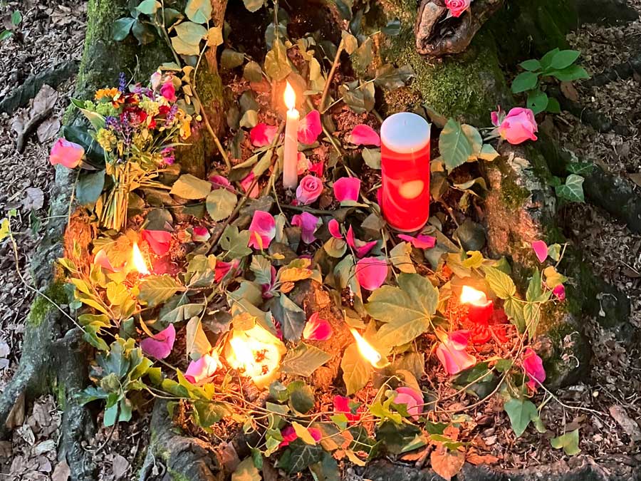 Kerzen und Blumen als Altar für die Sommersonnenwende